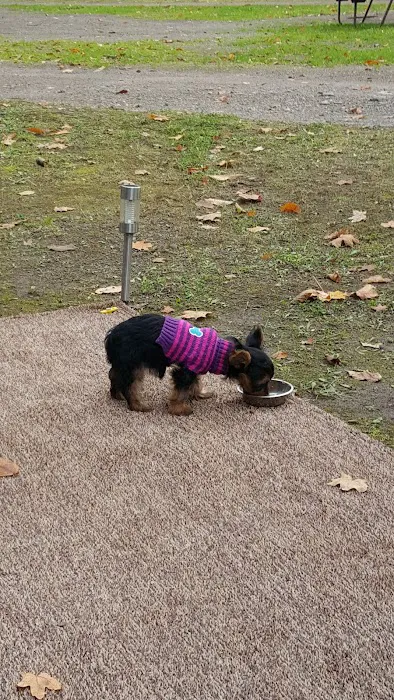 Maple Heights Campground Picture 8