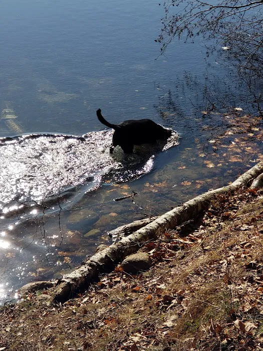 Boot Lake Campground Picture 6