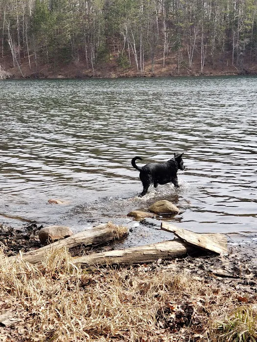 Boot Lake Campground Picture 9