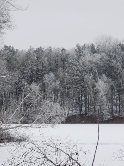 Boot Lake Campground Picture 5