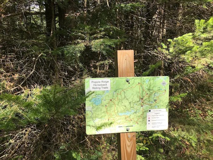 Popple Ridge Horse Campground Picture 6