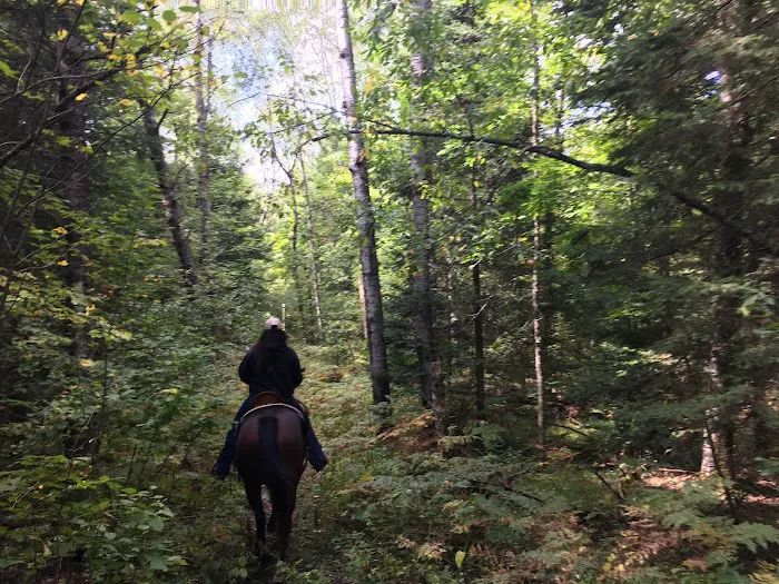 Popple Ridge Horse Campground Picture 7