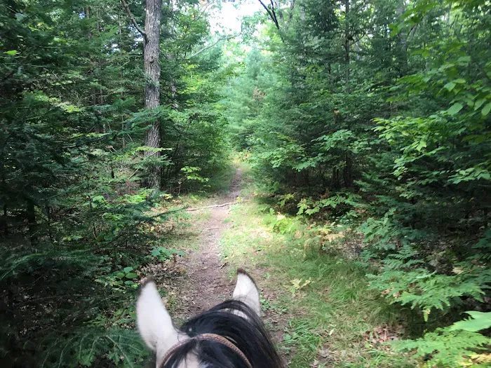 Popple Ridge Horse Campground Picture 4