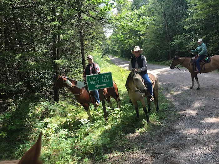 Popple Ridge Horse Campground Picture 8