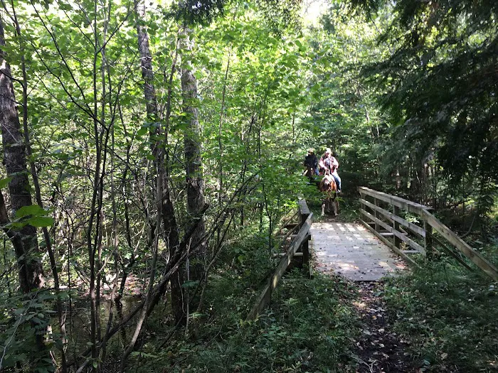 Popple Ridge Horse Campground Picture 5