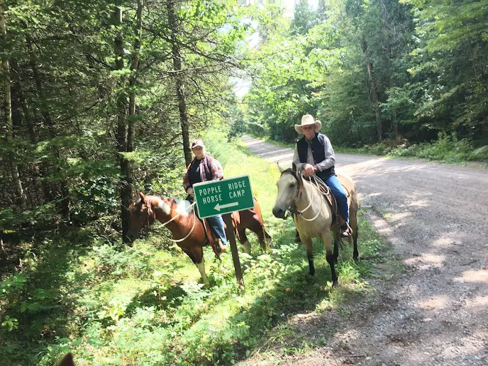 Popple Ridge Horse Campground Picture 2