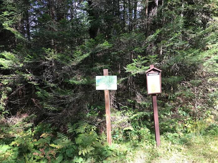 Popple Ridge Horse Campground Picture 9