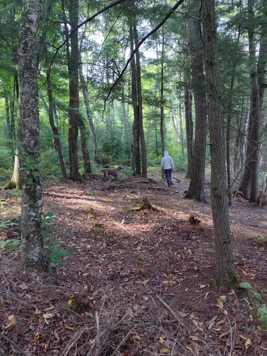 Jessie Lake Campsite Picture 14