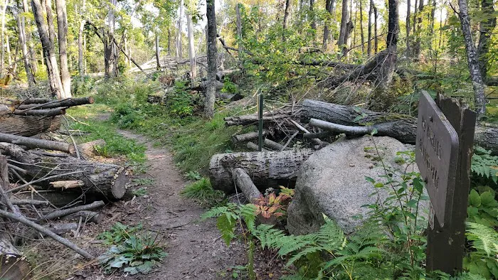 Jessie Lake Campsite Picture 19