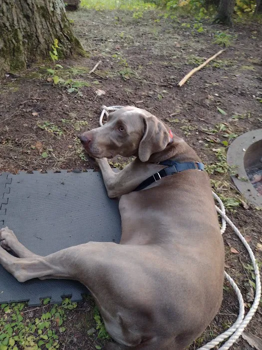 Jessie Lake Campsite Picture 10