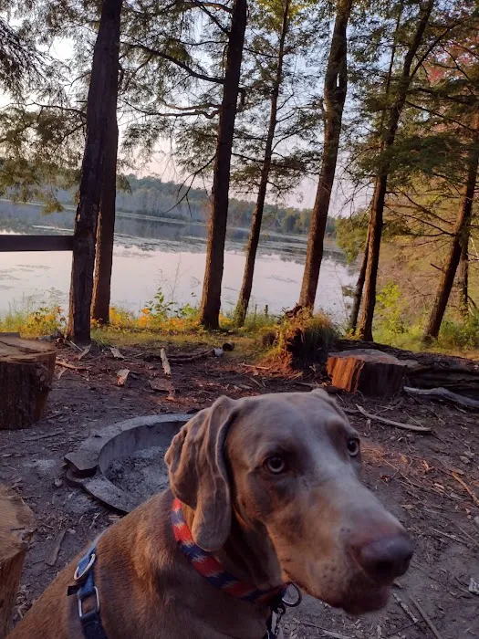 Jessie Lake Campsite Picture 18