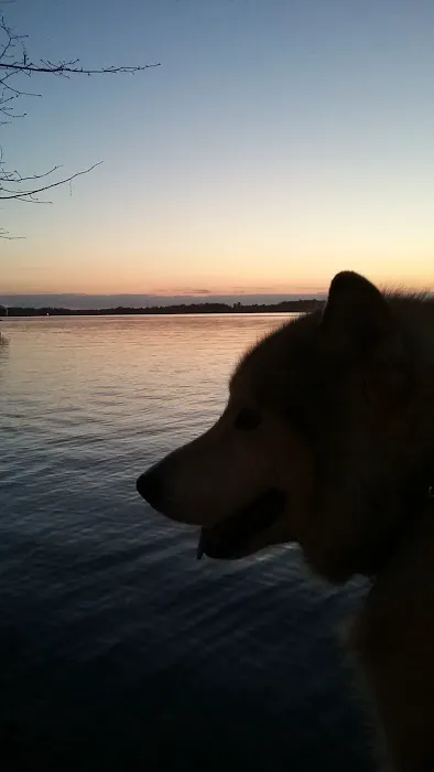 Timberline Resort-Campgrounds Picture 4