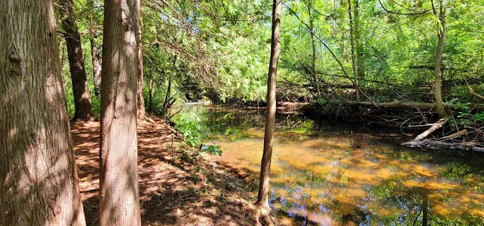 Evergreen Park & Campground Picture 4