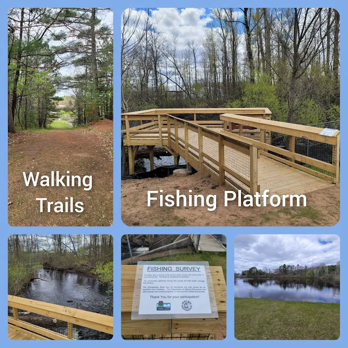 Evergreen Park & Campground Picture 5