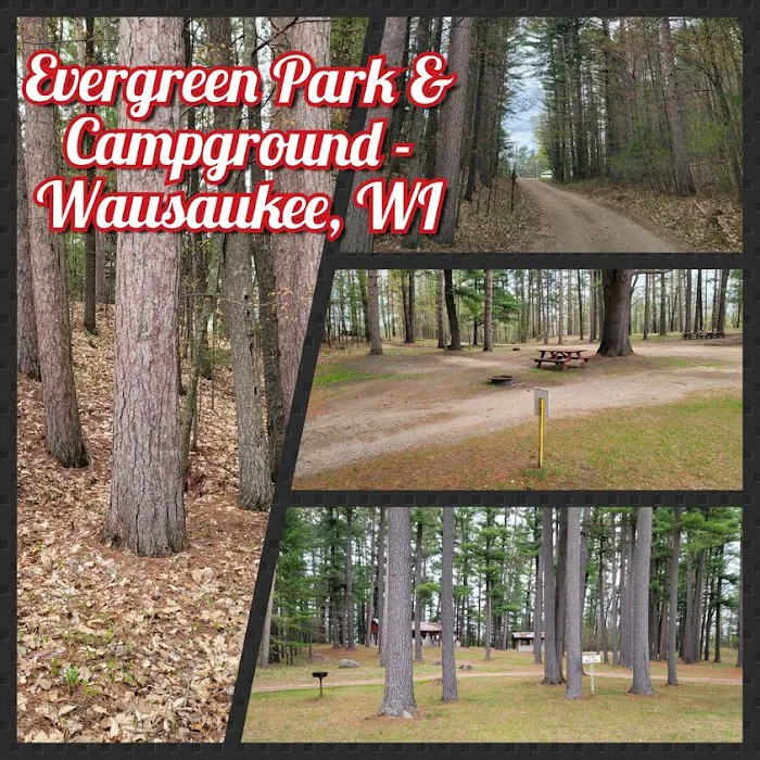 Evergreen Park & Campground Picture 10