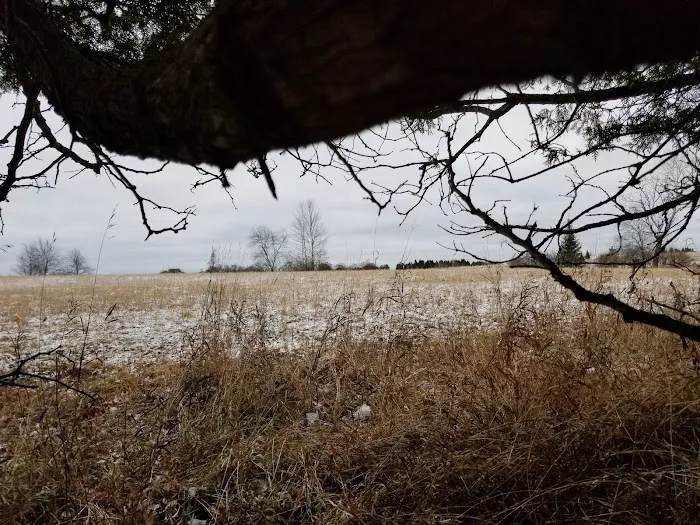 Coyote RV Park & Campground Picture 9