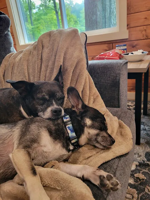 River Retreat Picture 11