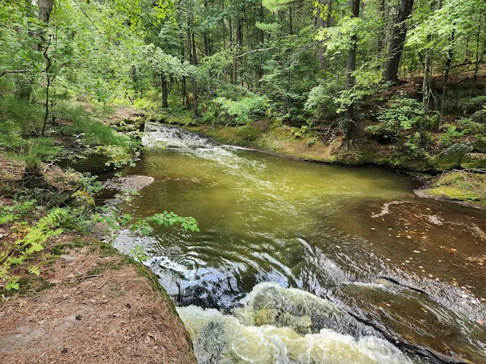 Coon Fork Campground Picture 7