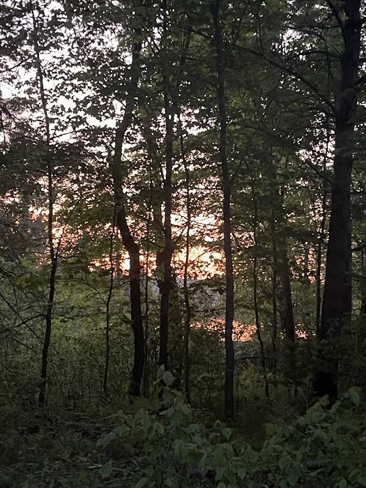 Coon Fork Campground Picture 10
