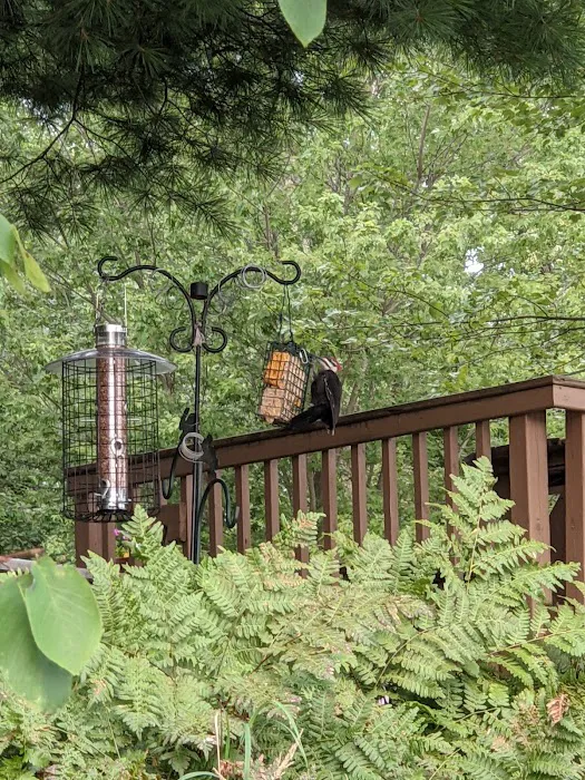 LeMere's Campground Picture 3