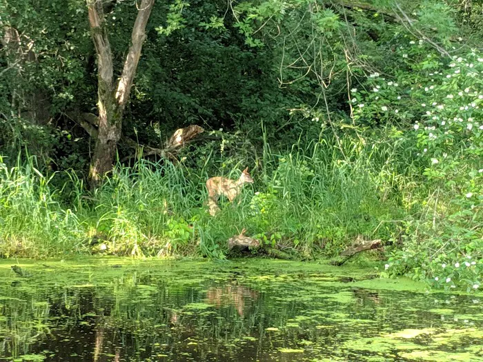 LeMere's Campground Picture 7