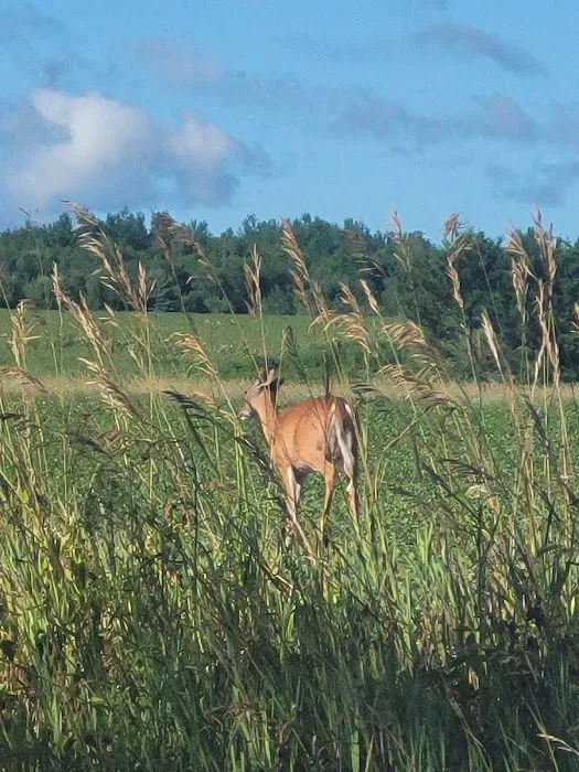 Harstad County Park Picture 10
