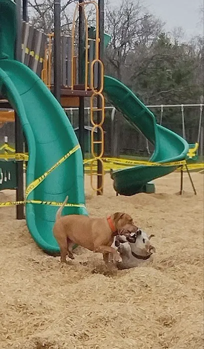 Harstad County Park Picture 1