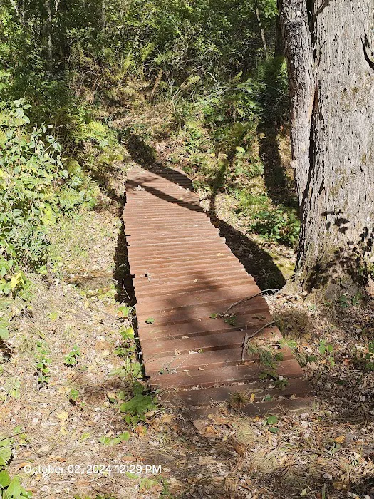 Lions Youth Camp Picture 4