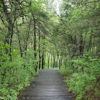 Kruger Campground ico