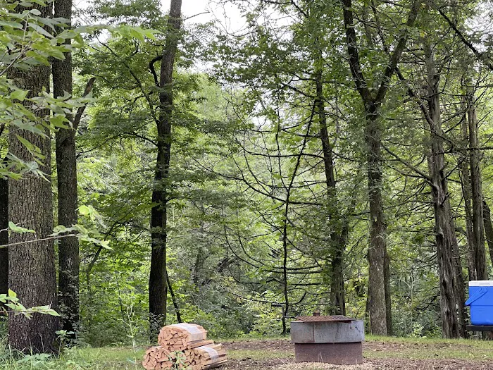 Minneiska Campground Picture 4