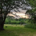 Zumbro Bottoms Horse Campground - Central