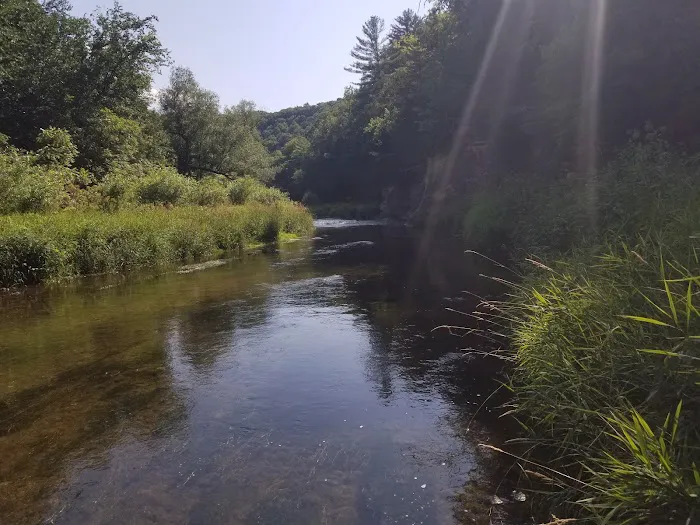 Upper Cedar Hills Campground Picture 3