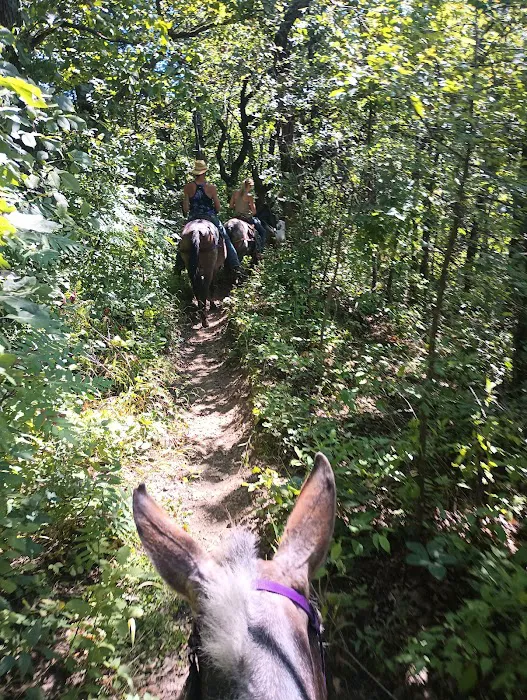 Zumbro Bottoms Horse Campground - West Picture 9