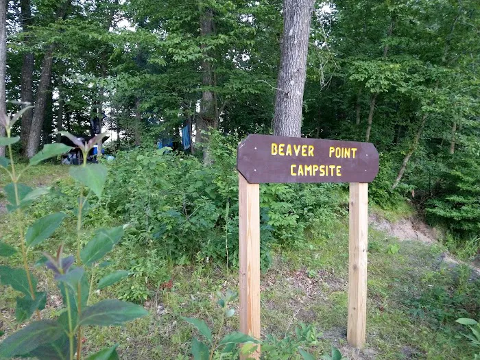 Beaver Point Campsite Picture 2