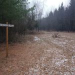 #8 Queens Bluff camp site