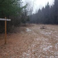 #8 Queens Bluff camp site ico