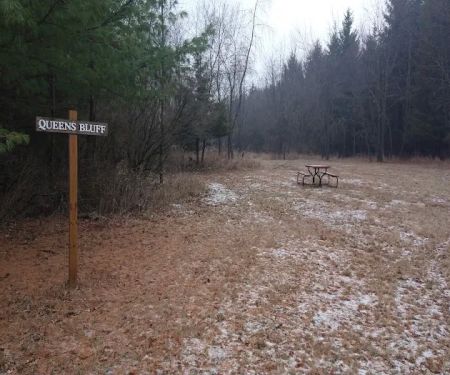 #8 Queens Bluff camp site