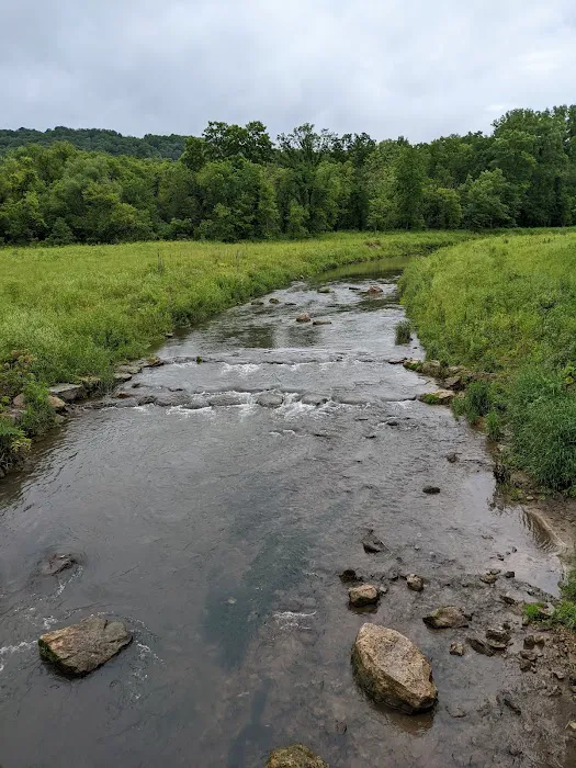 Lower Cedar Hills Campground Picture 2