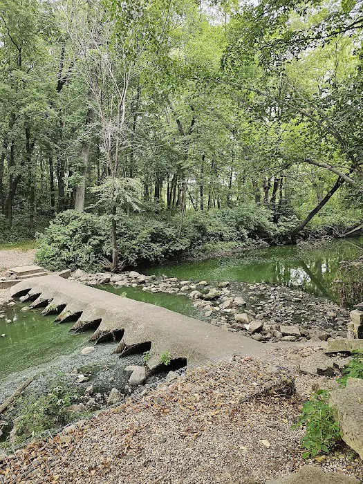 Beeds Lake Campground Picture 4