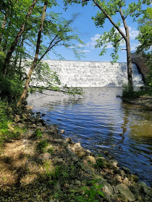 Beeds Lake Campground Picture 6