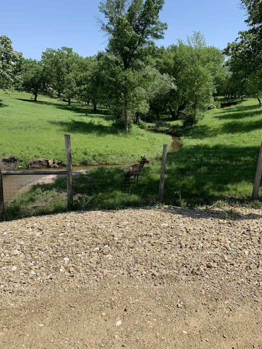 Gehrke's Lake and Campground Picture 8