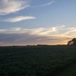 Oakwoods Trails Campground