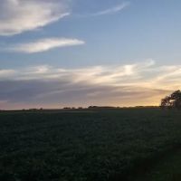 Oakwoods Trails Campground ico