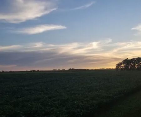 Oakwoods Trails Campground