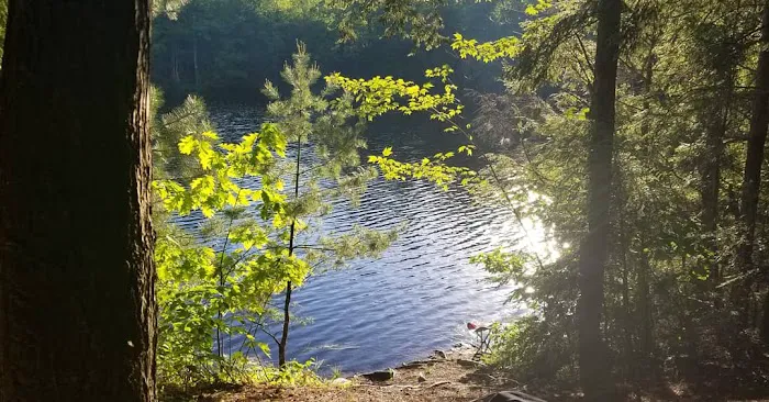 Game Lake Campsite Picture 1