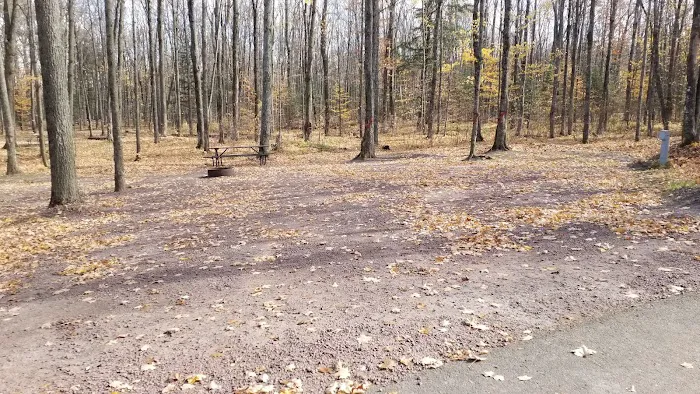 Jack Lake Campground Picture 10