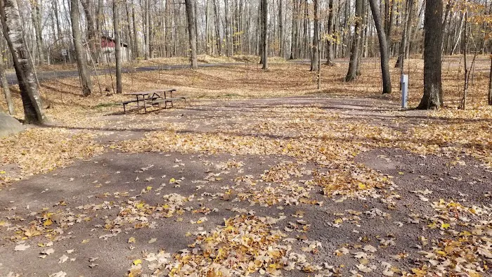 Jack Lake Campground Picture 9