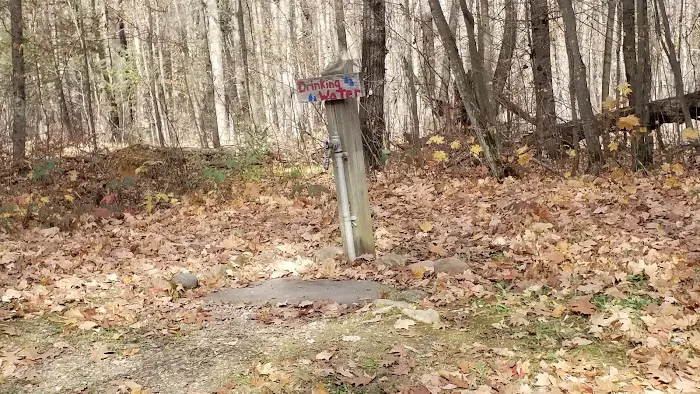 Jack Lake Campground Picture 6