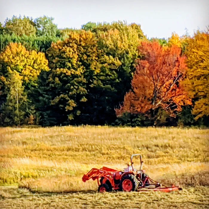 Kamp Kin Nardly Picture 7