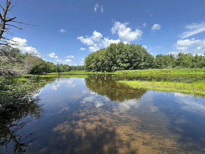 Perch Lake Campground Picture 2